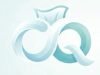 cleanquicks logo